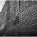 Billy Way Photo 19