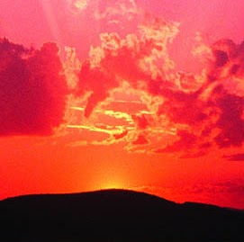 Mark Sinnett Photo 1