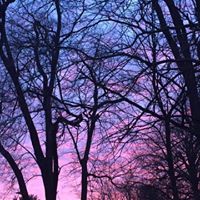 Dana French Photo 11