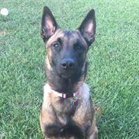 Chad Fuentes Photo 5