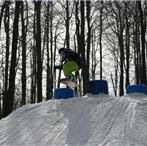 Matthew Farrell Photo 36