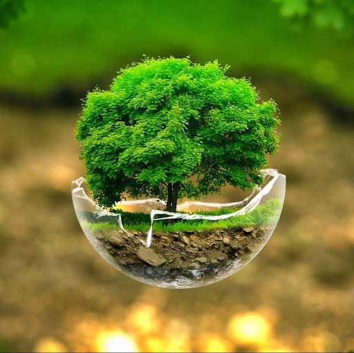 Keith Weaver Photo 14