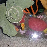 Becki Roberts Photo 11