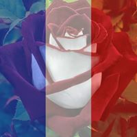 Nancy Clouse Photo 9