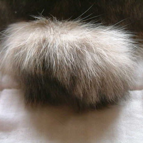Chang Ma Photo 17