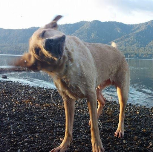 Adam Michael Photo 38