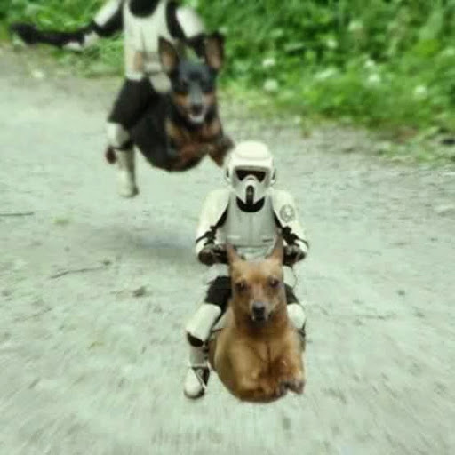 Mark Horvath Photo 20