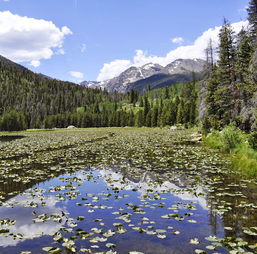 Krystal Vance Photo 2