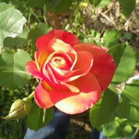 Angel Welch Photo 25