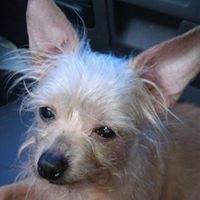 Billie Morris Photo 5