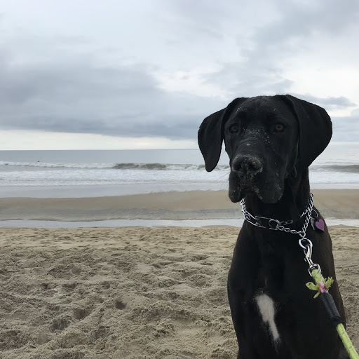 Michael Potter Photo 28 Michael Potter Photo 28