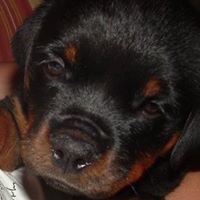 Ryan Jennings Photo 13