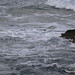 Richard Comer Photo 12