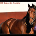 Sarah Phipps Photo 9