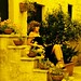 Pauline Stone Photo 34