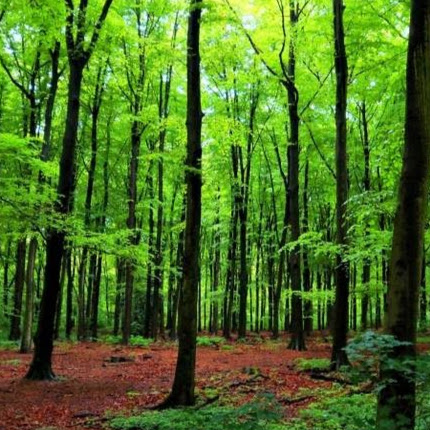 Annette Gutierrez Photo 11