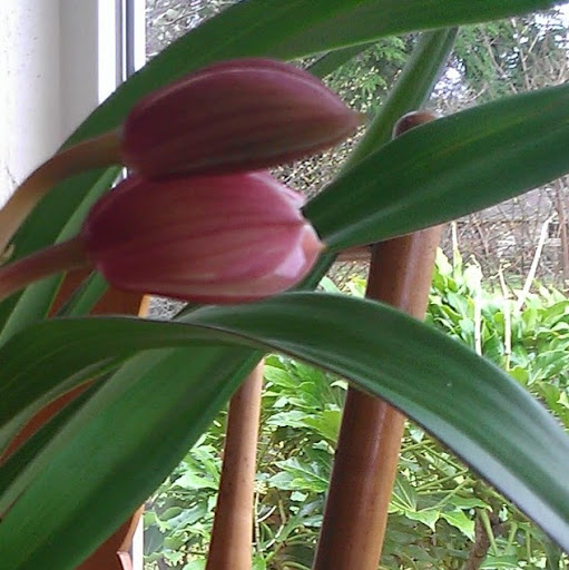 Sara Mcdaniel Photo 20