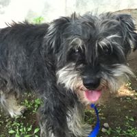 Marie Dobbs Photo 17