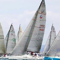 David Michaelis Photo 30