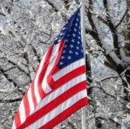 Frank Vitale Photo 39