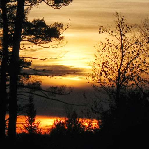 Sally Thompson Photo 27