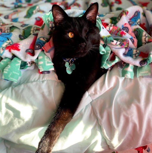 Jennifer Mcgill Photo 23