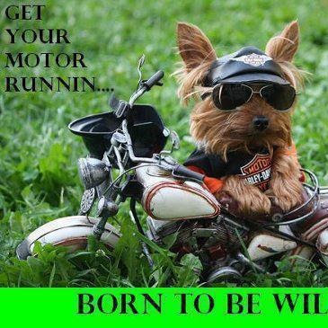 Maggie Nichols Photo 27 Maggie Nichols Photo 27