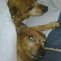 Linda Minnich Photo 10