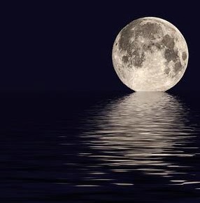 Hazel Summers Photo 2