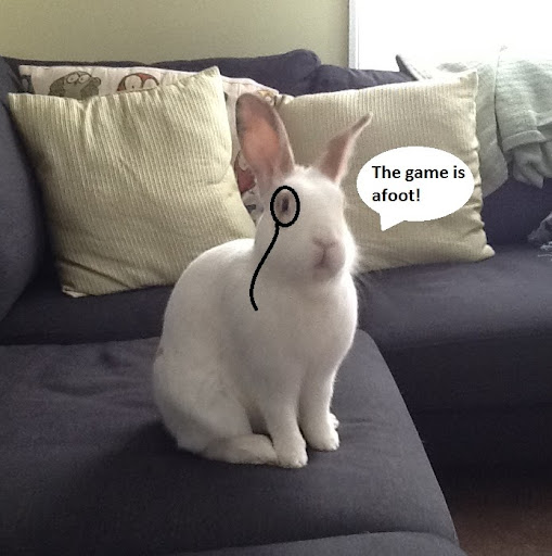 Tara Holmes Photo 28