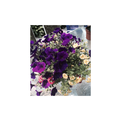 Linda Albert Photo 25 Linda Albert Photo 25