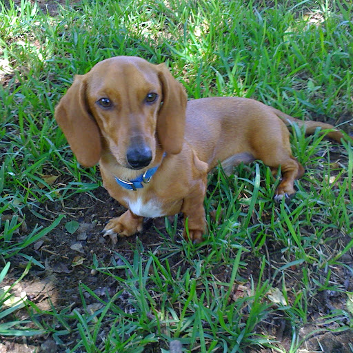 Denise Burke Photo 14 Denise Burke Photo 14