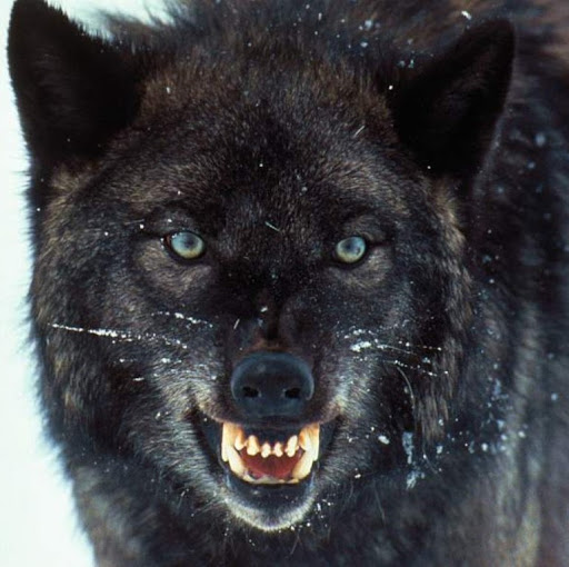 April O'Brien Photo 17