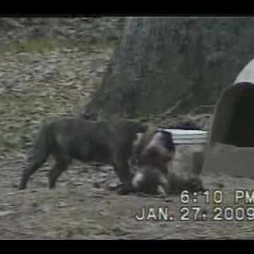 Roberta Stark Photo 5