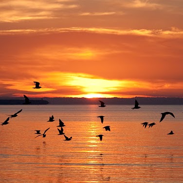 Chris Mccoy Photo 33