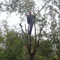 Eric Weiss Photo 49 Eric Weiss Photo 49