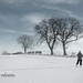Deborah Winter Photo 10