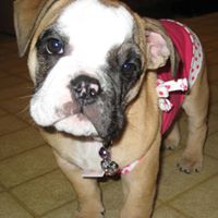 Amber Borchert Photo 3
