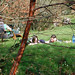 Lisa Mayo Photo 24