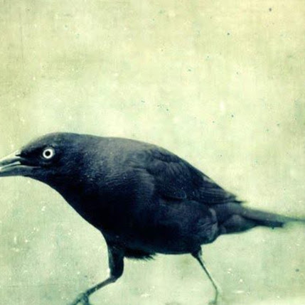 Ricky Morris Photo 21