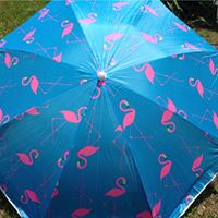 Vickie Griffin Photo 17