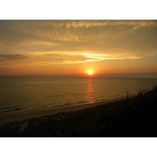 Stephanie Hartman Photo 24