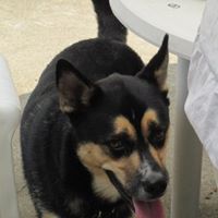 Joe Matthews Photo 30