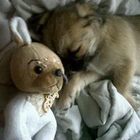 Dawn Wallis Photo 13