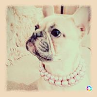 Sharon Little Photo 12