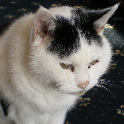 Christine Whiting Photo 2