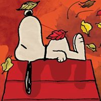 Paul Gross Photo 50 Paul Gross Photo 50