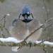 John Schnabel Photo 9