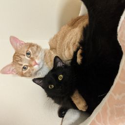 Troy Warren Photo 20