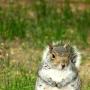 Barbara Rhoades Photo 36